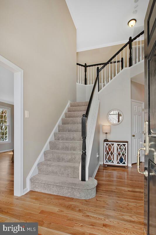 MONTGOMERY MEADOWS - Residential