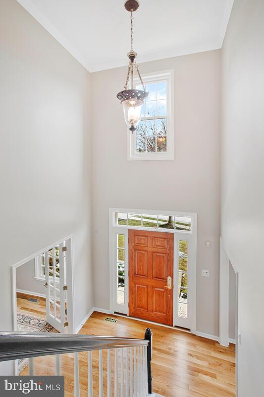 MONTGOMERY MEADOWS - Residential