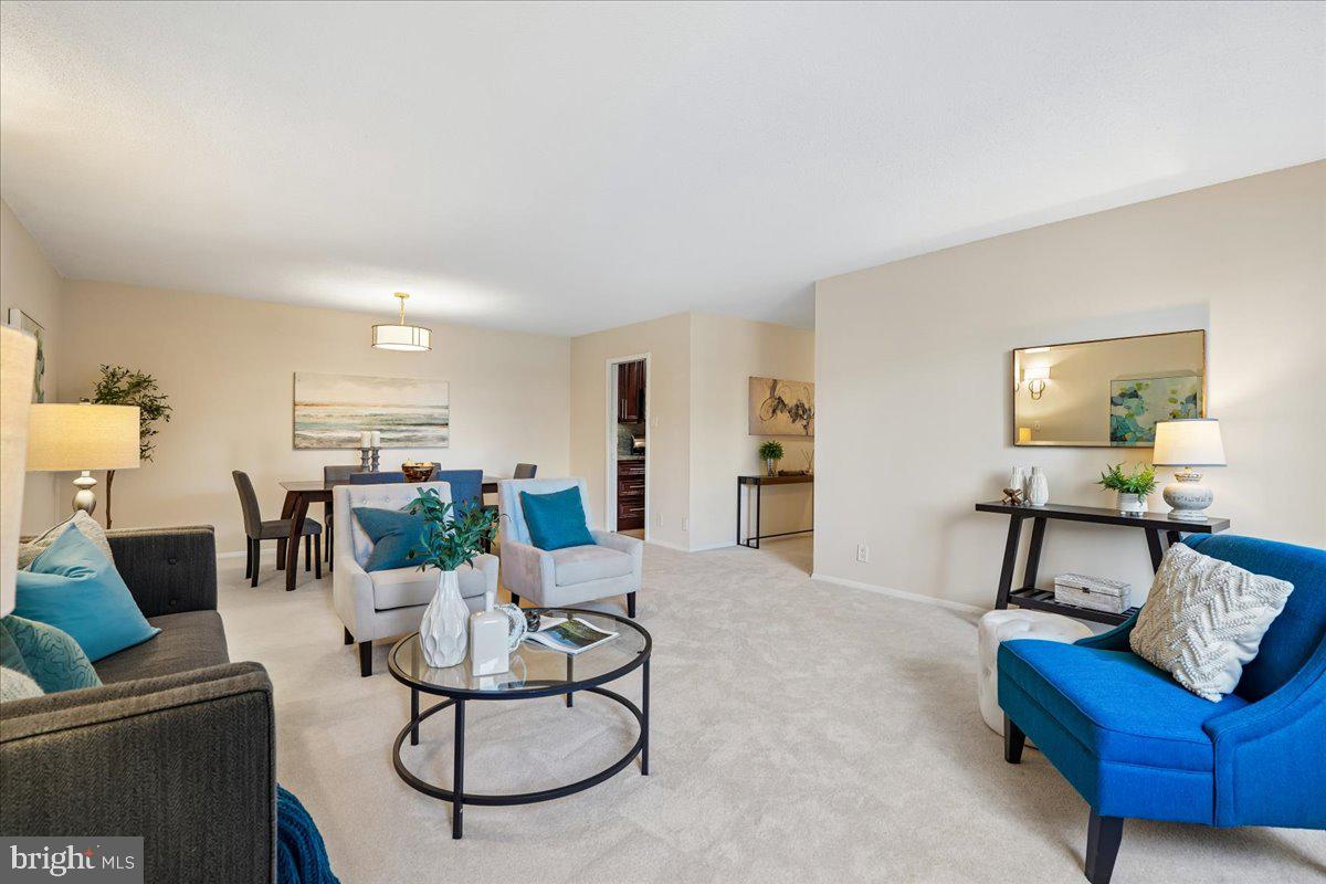 CHEVY CHASE VILLAGE - Residential