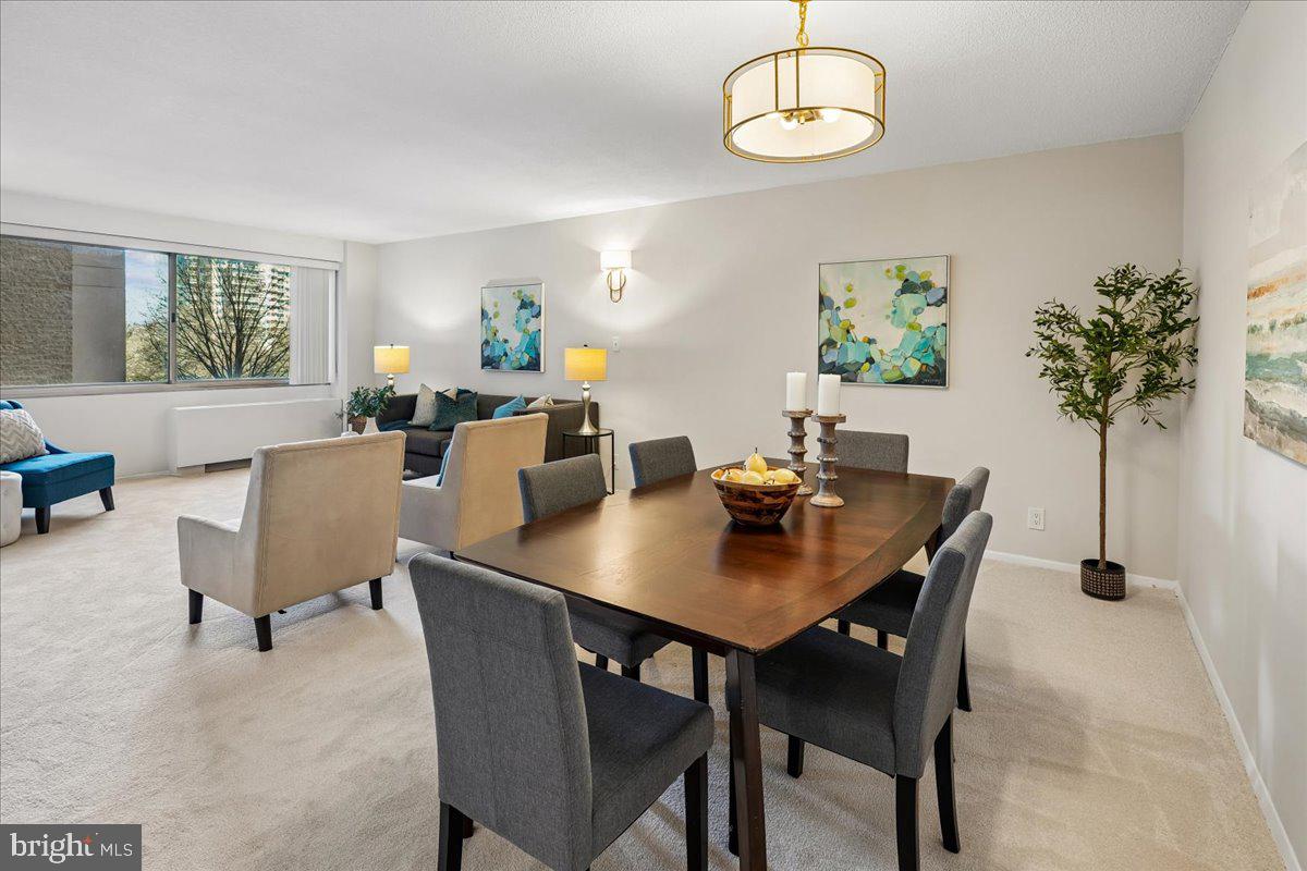 CHEVY CHASE VILLAGE - Residential