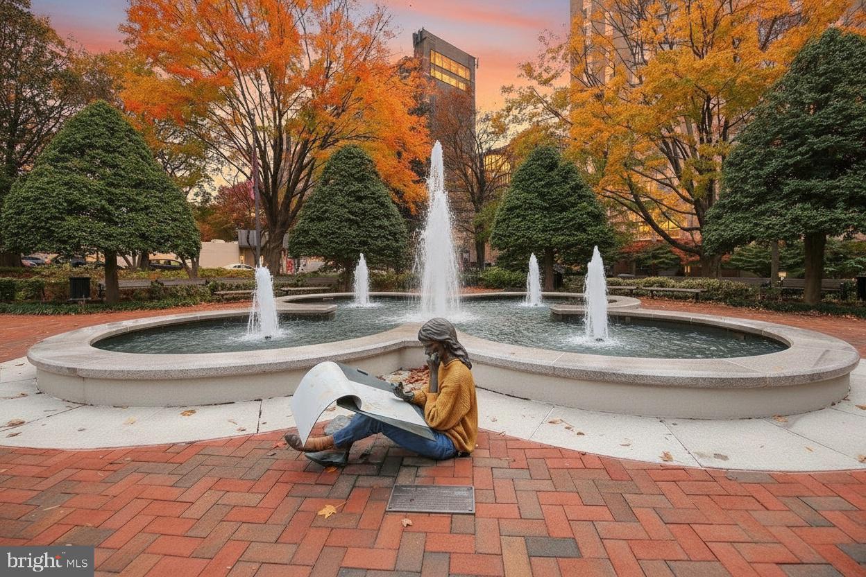 CHEVY CHASE VILLAGE - Residential