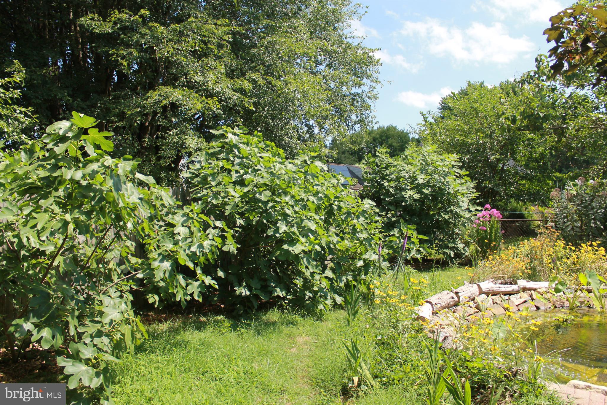 PERRYVILLE - Residential