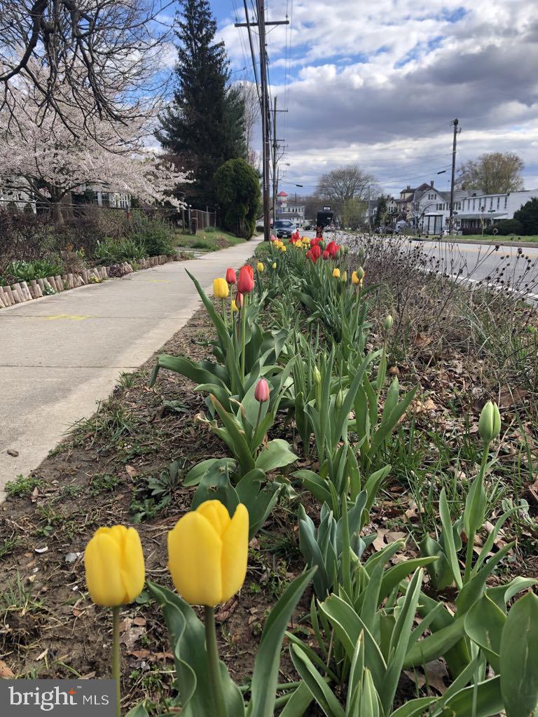 PERRYVILLE - Residential