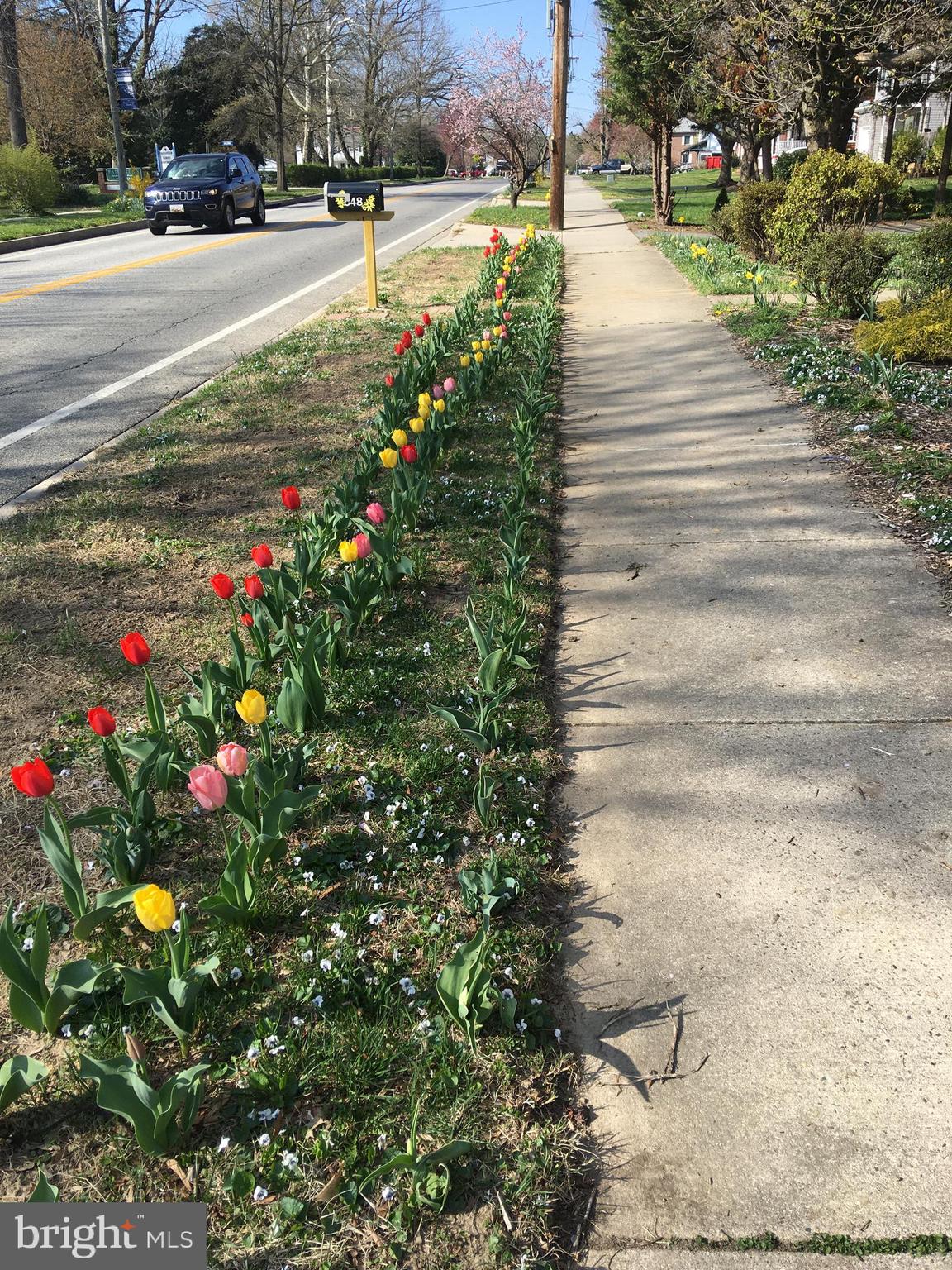 PERRYVILLE - Residential