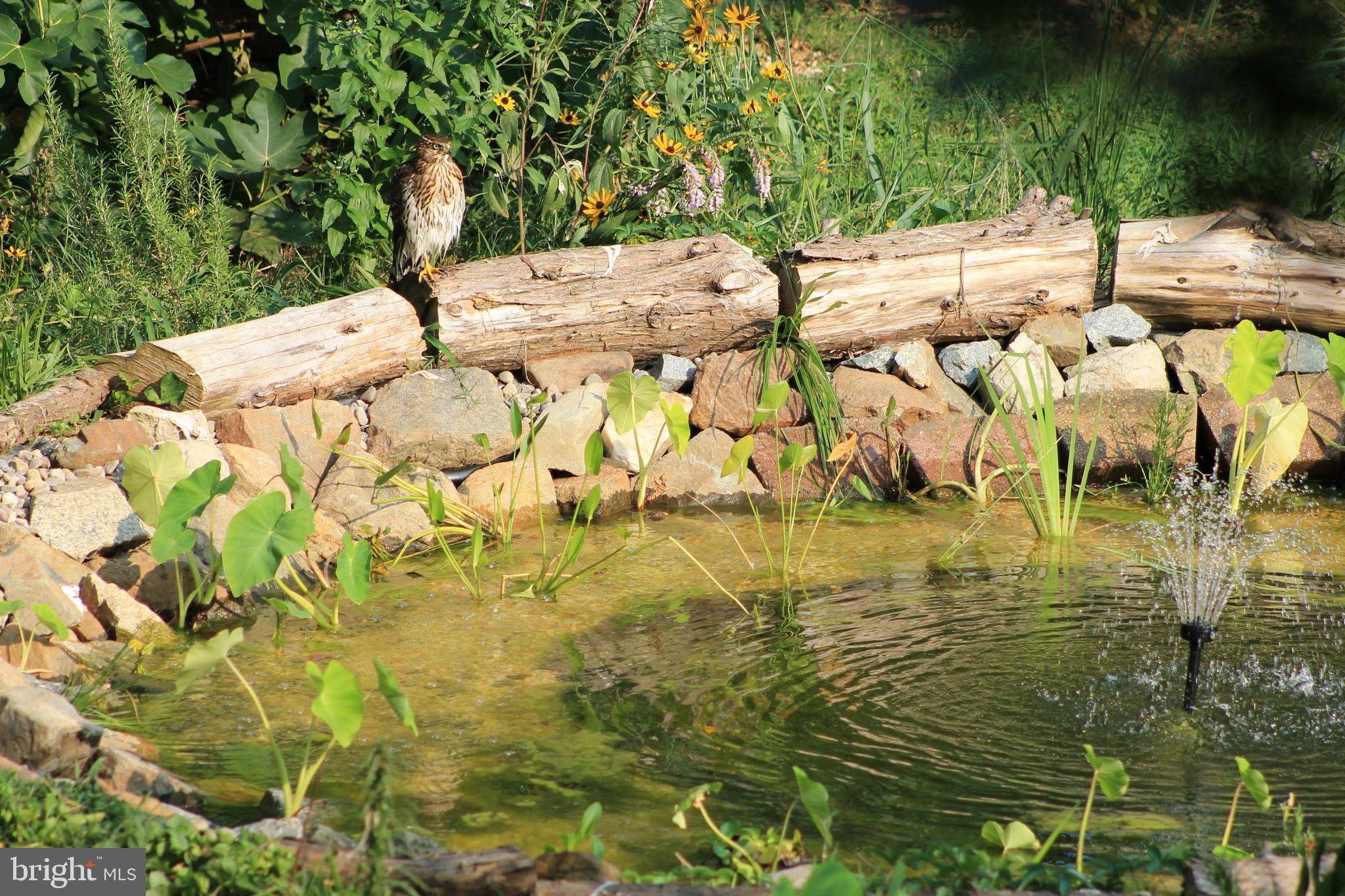 PERRYVILLE - Residential