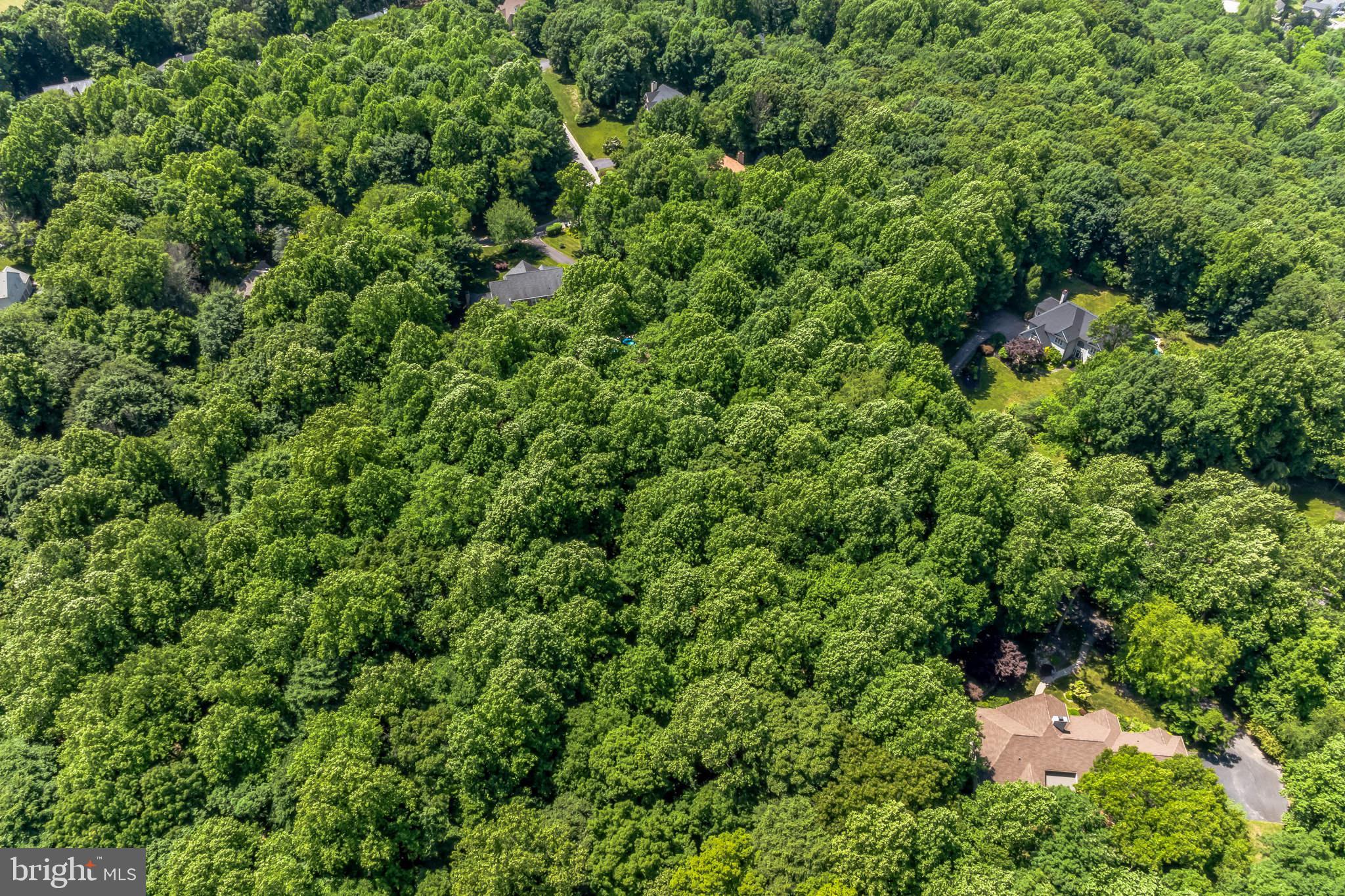 VIRGINIA GLEN - Residential