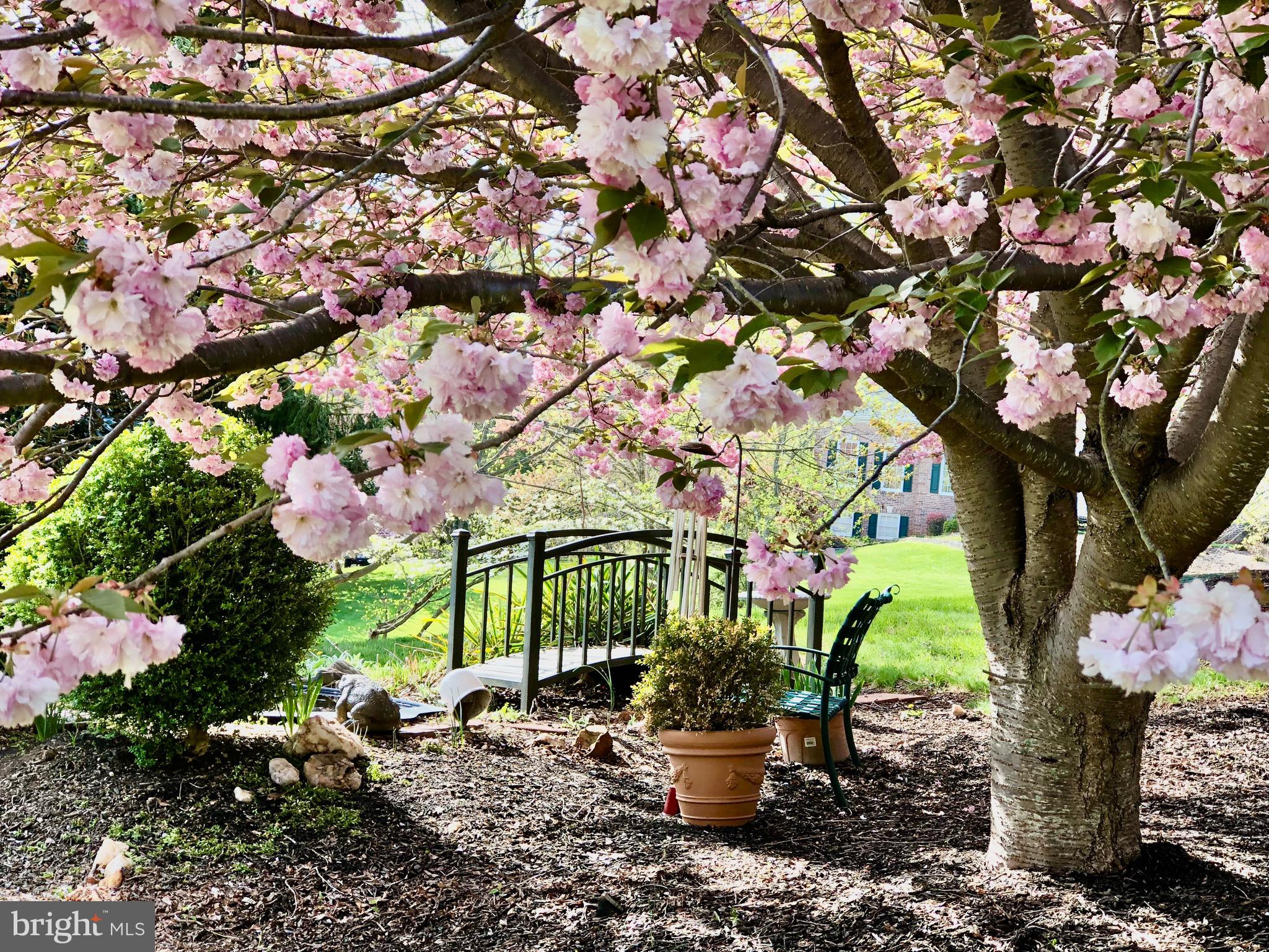 WATERLOO NORTH - Residential