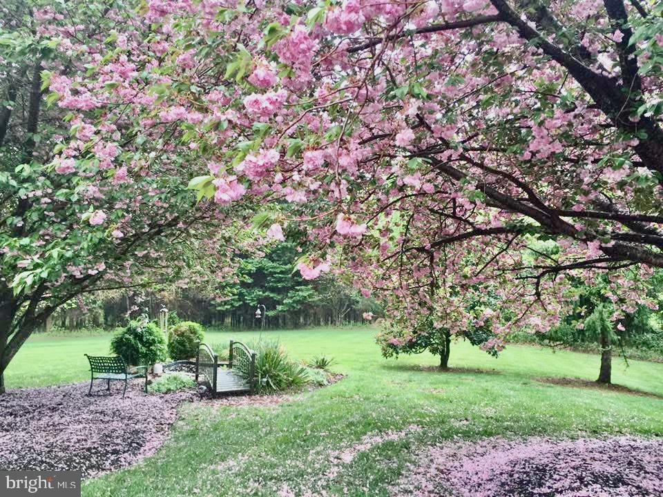 WATERLOO NORTH - Residential