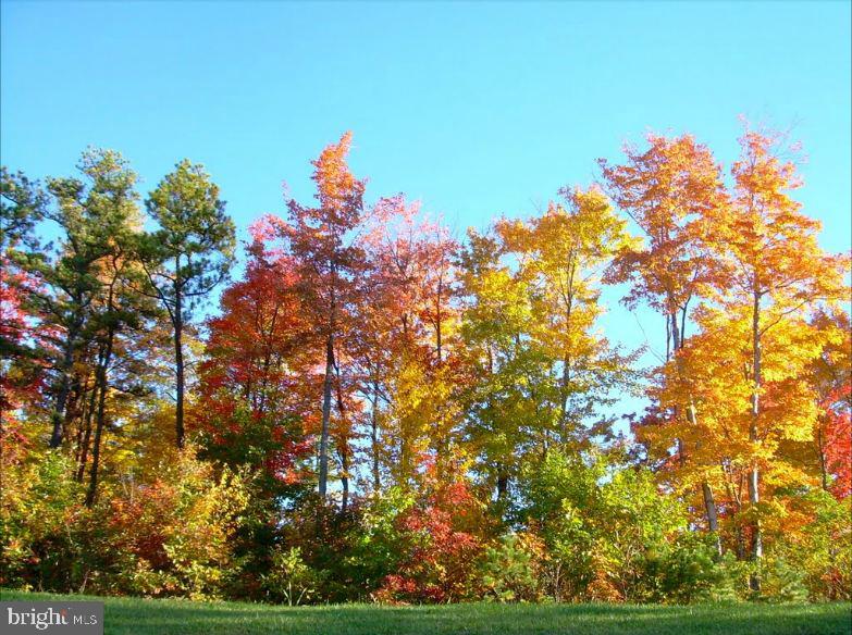 MARSH RUN COVE - Residential