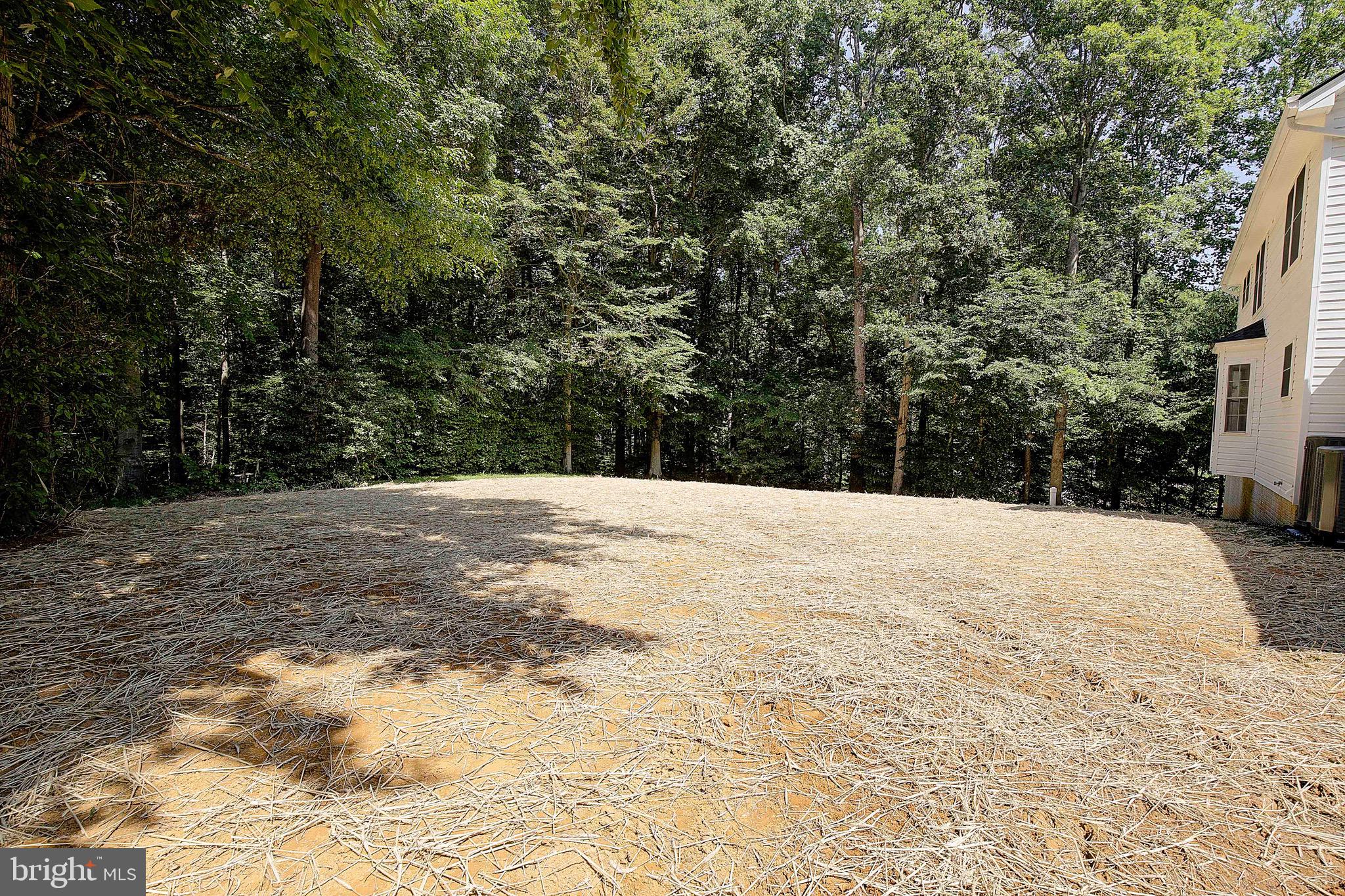 PLUM POINT WOODS - Residential