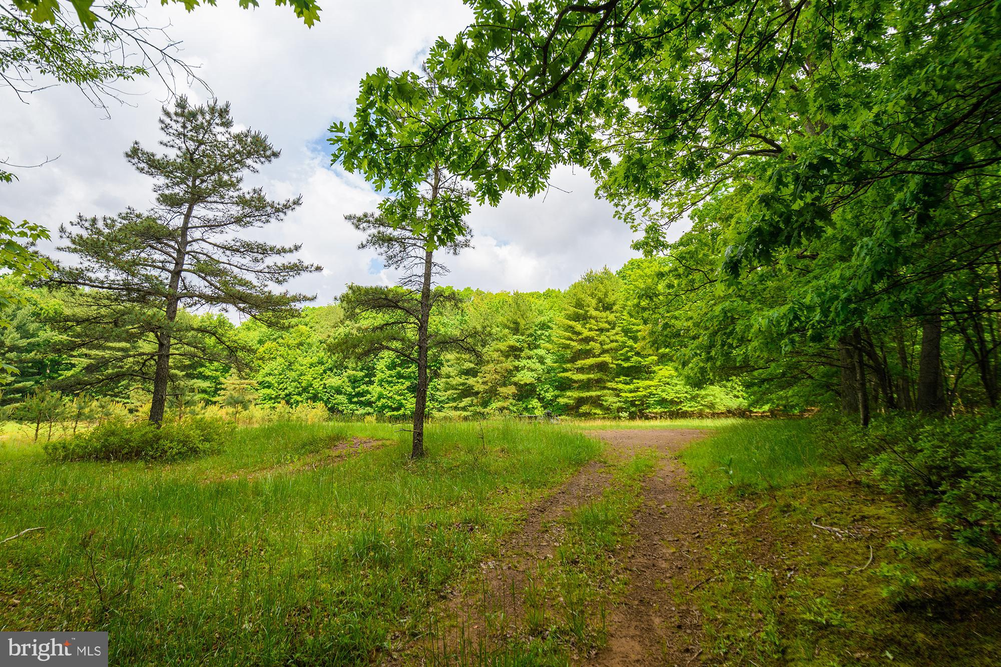 PARADISE COVE - Residential