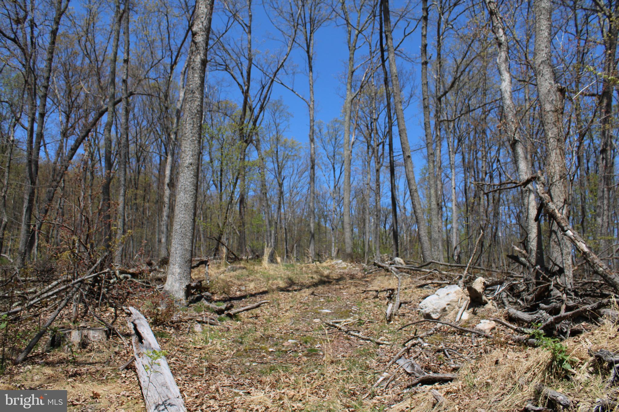 NONE AVAILABLE - Land