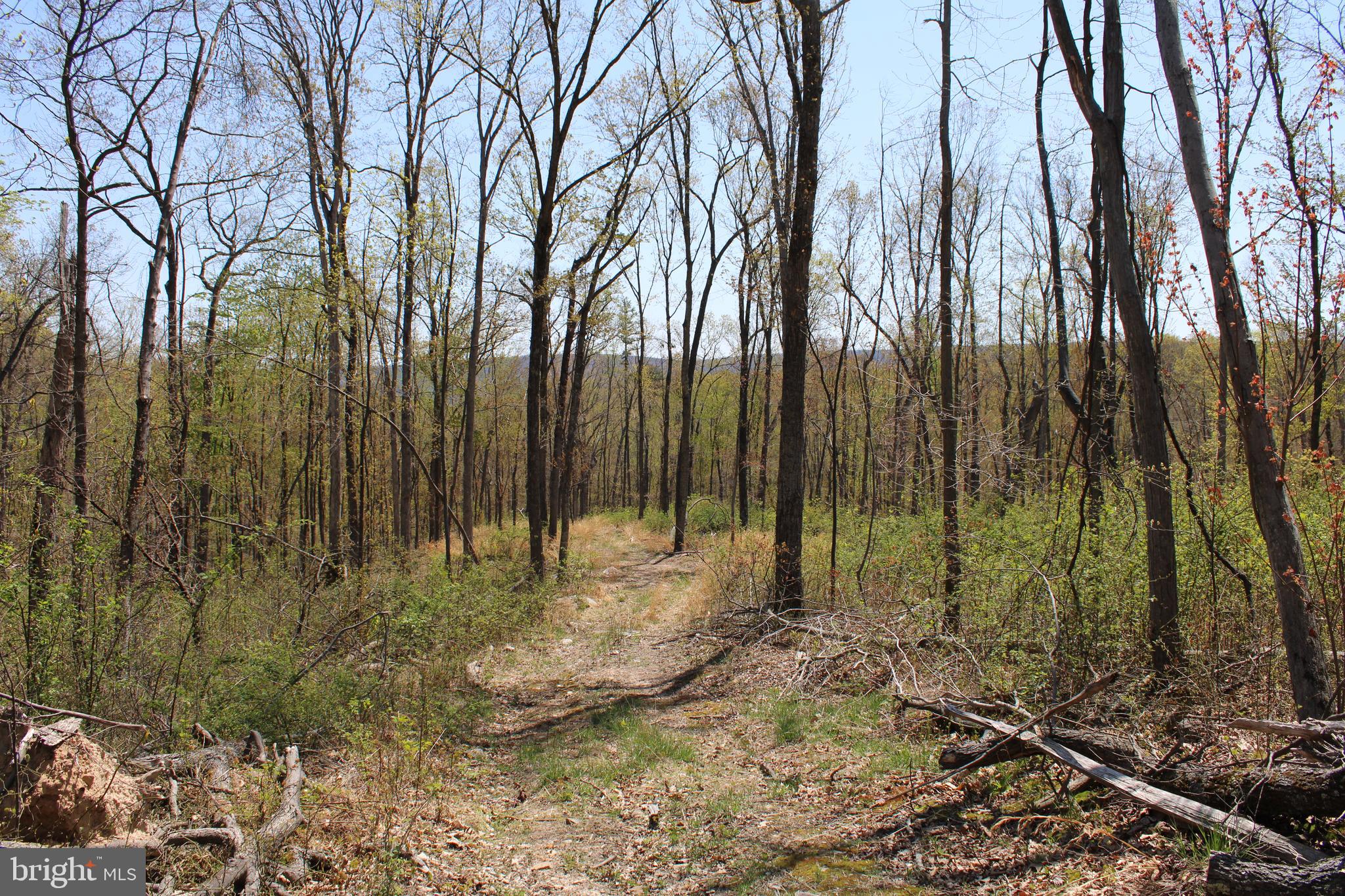 NONE AVAILABLE - Land