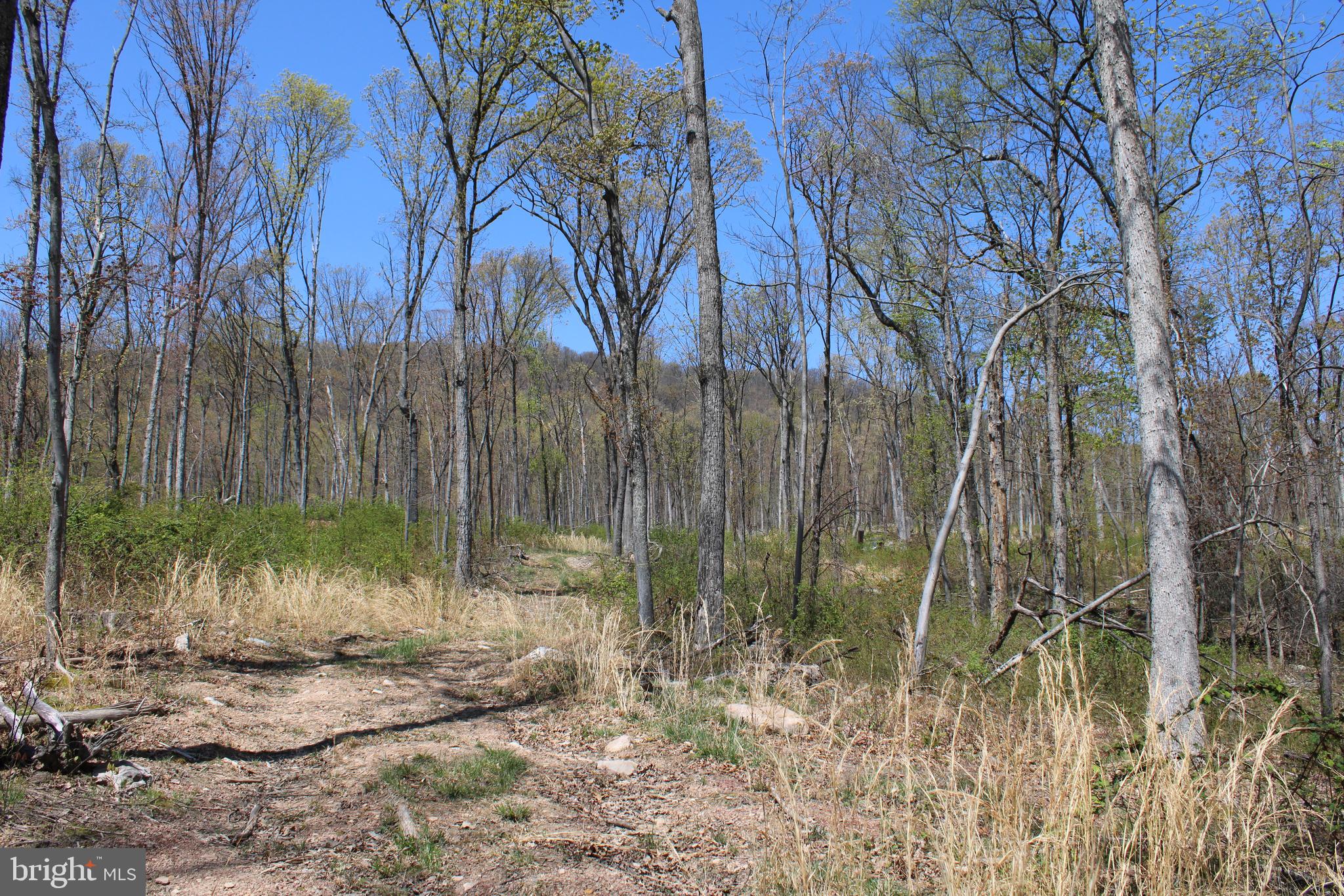 NONE AVAILABLE - Land