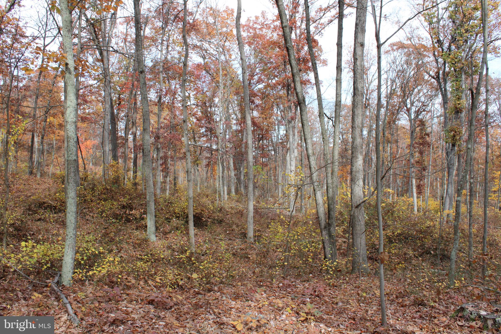 NONE AVAILABLE - Land