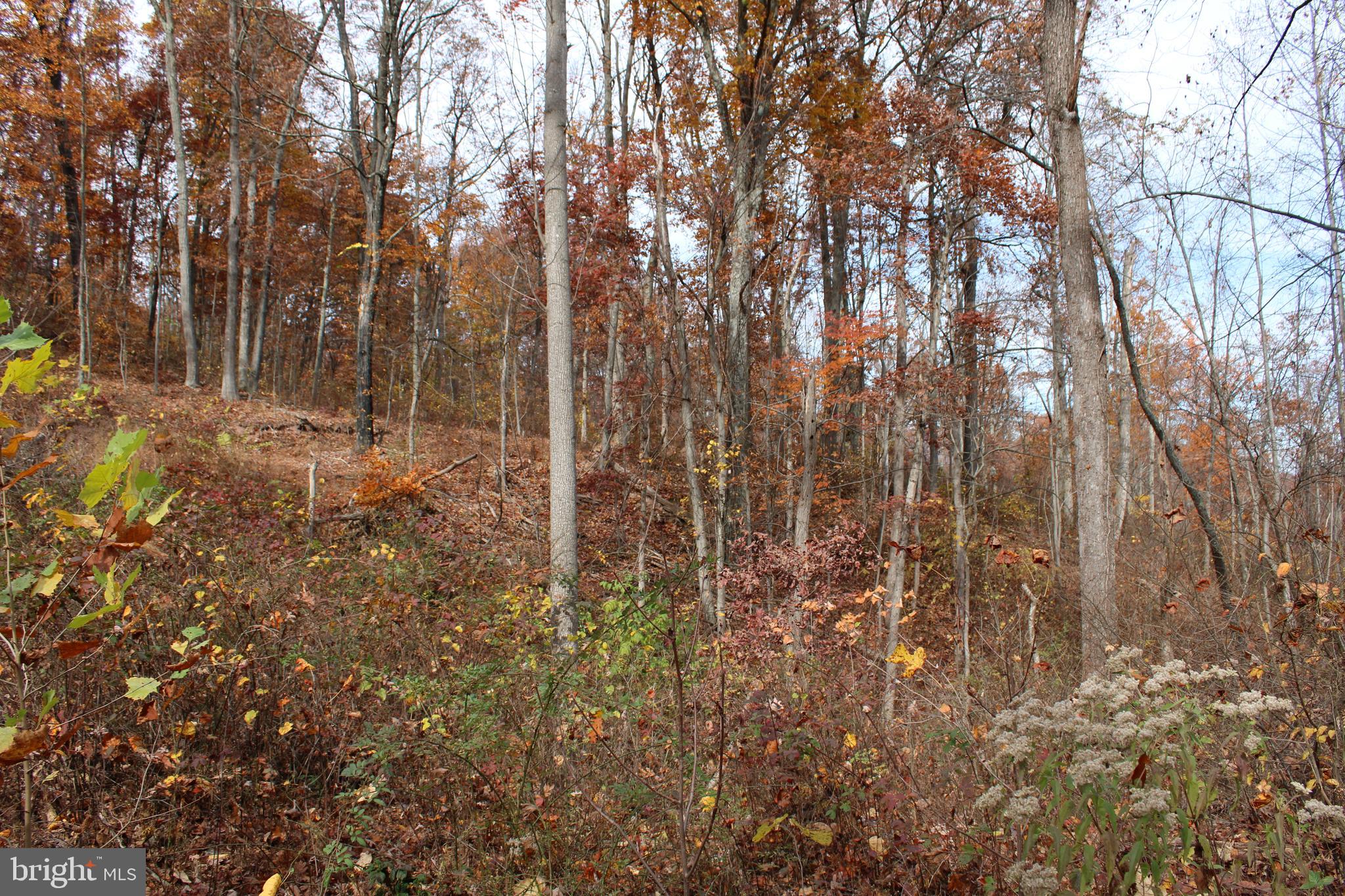 NONE AVAILABLE - Land