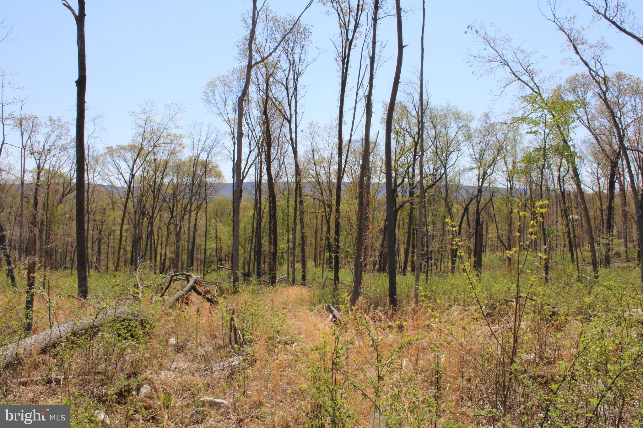 NONE AVAILABLE - Land