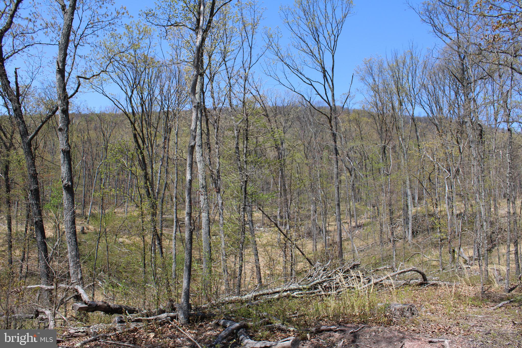 NONE AVAILABLE - Land