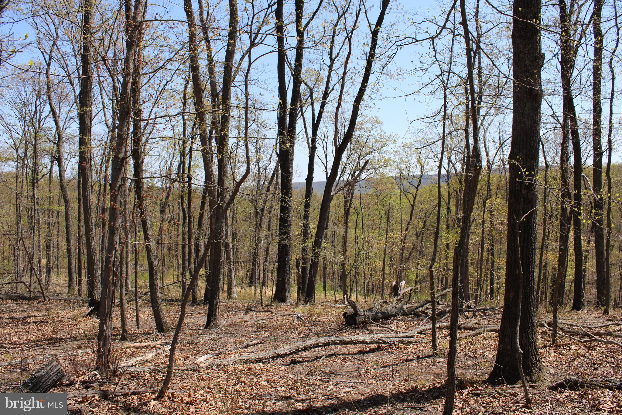 NONE AVAILABLE - Land