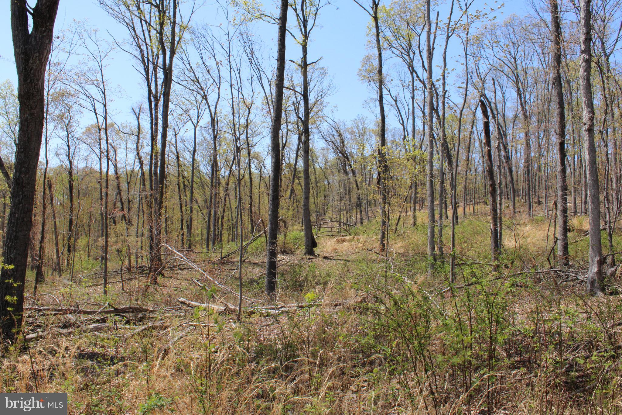 NONE AVAILABLE - Land