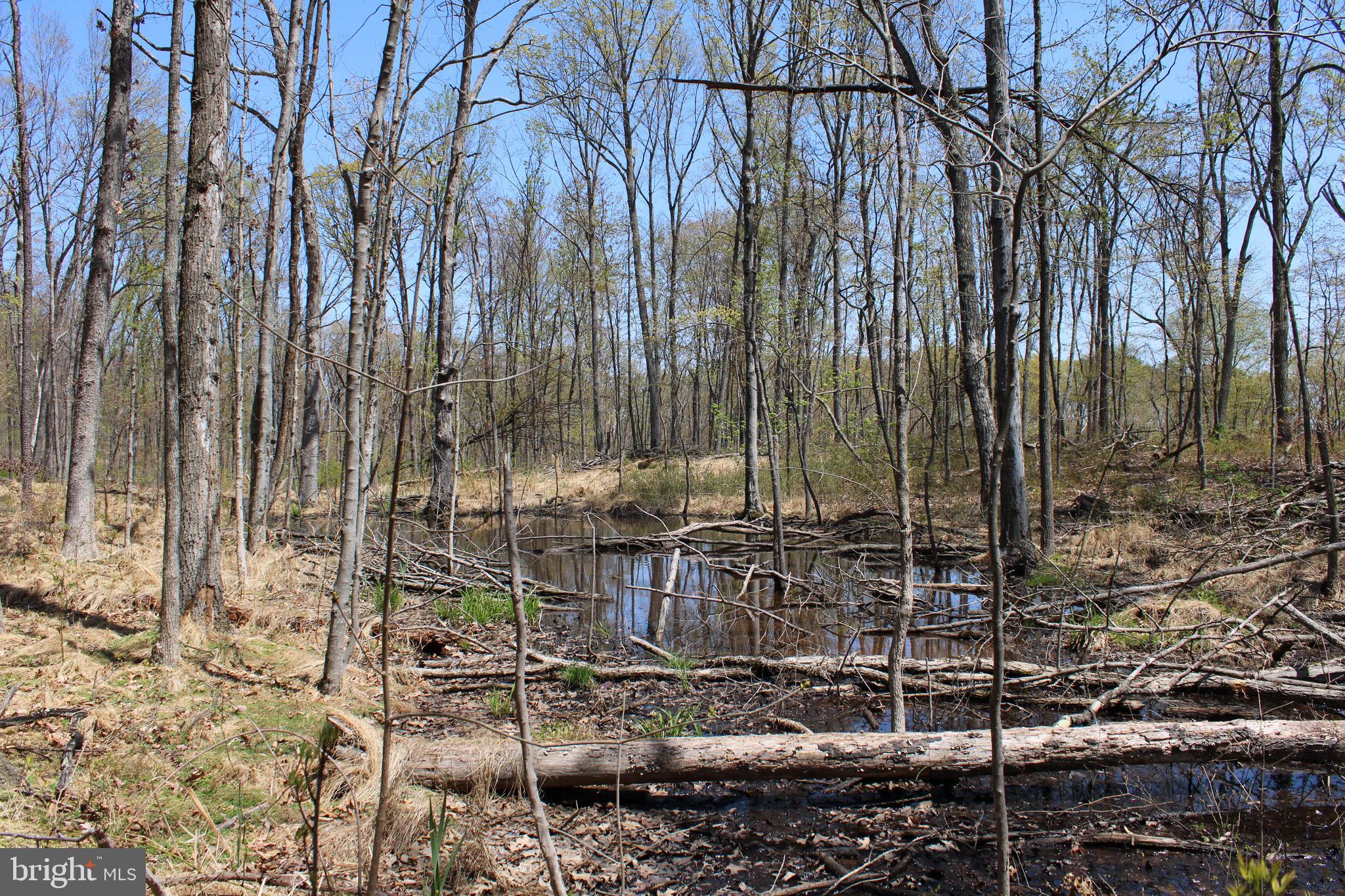 NONE AVAILABLE - Land