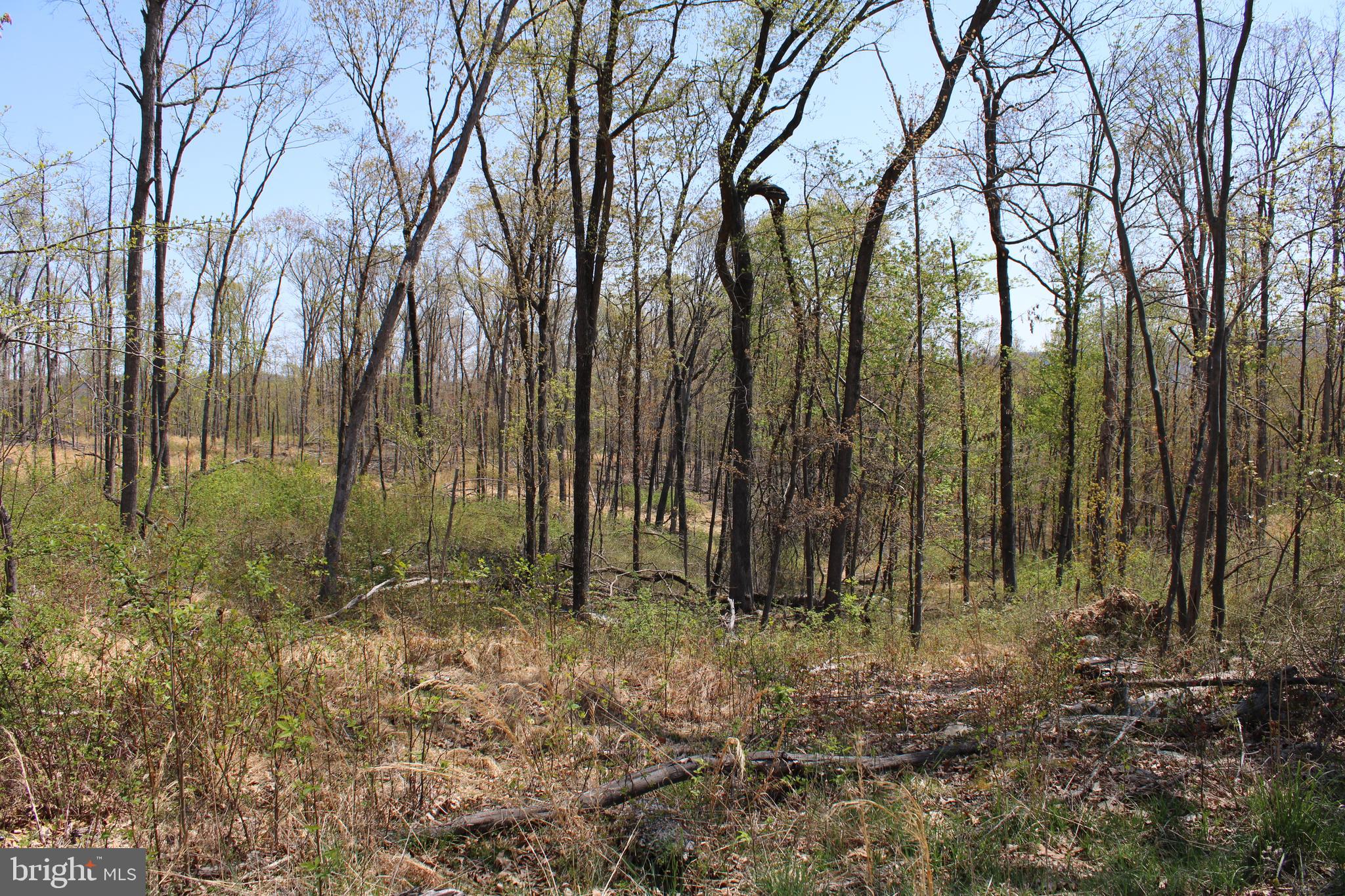 NONE AVAILABLE - Land