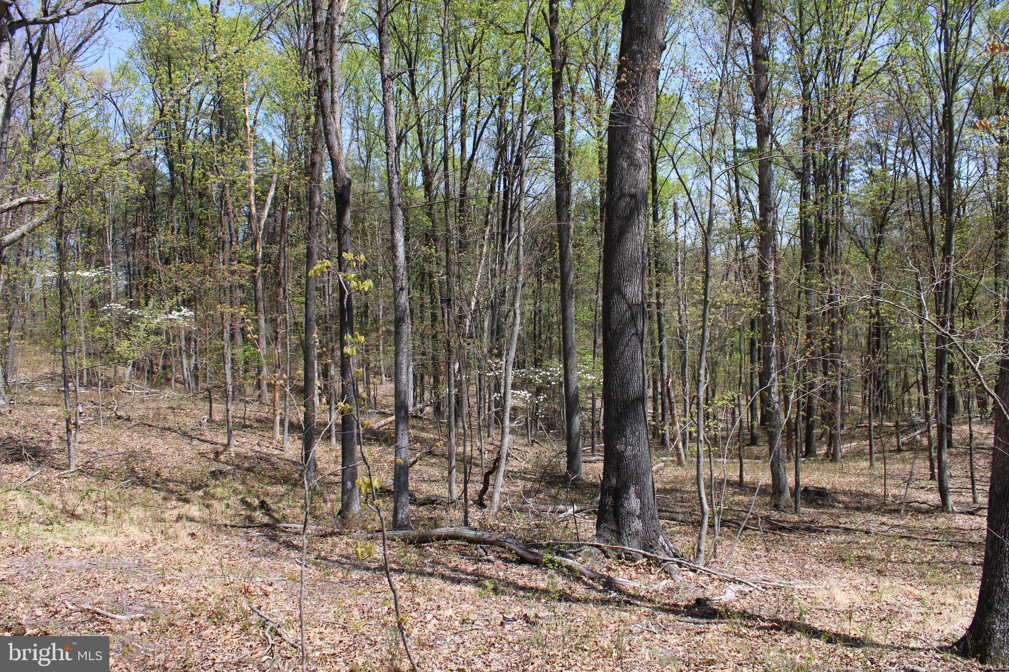 NONE AVAILABLE - Land