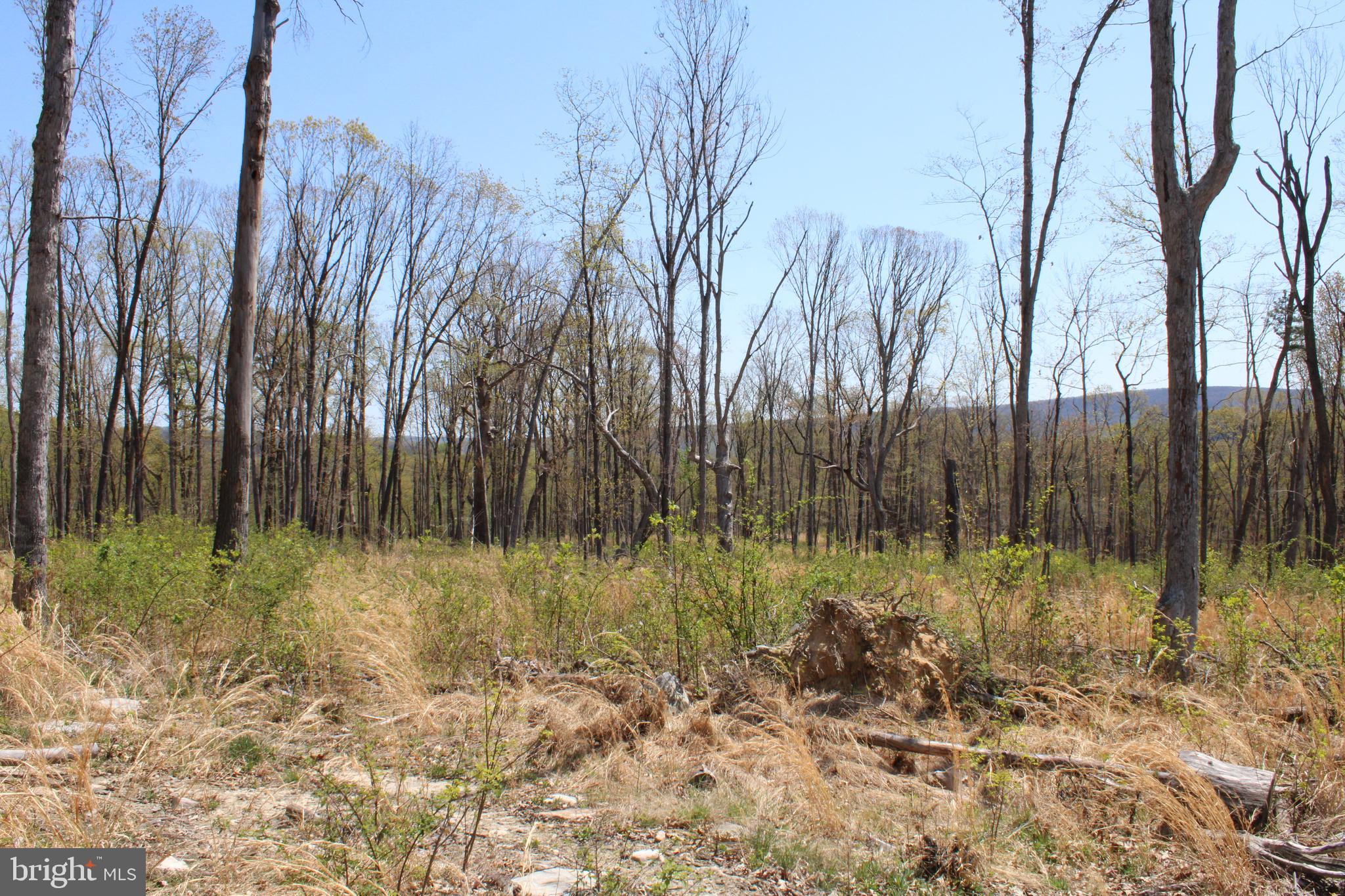 NONE AVAILABLE - Land