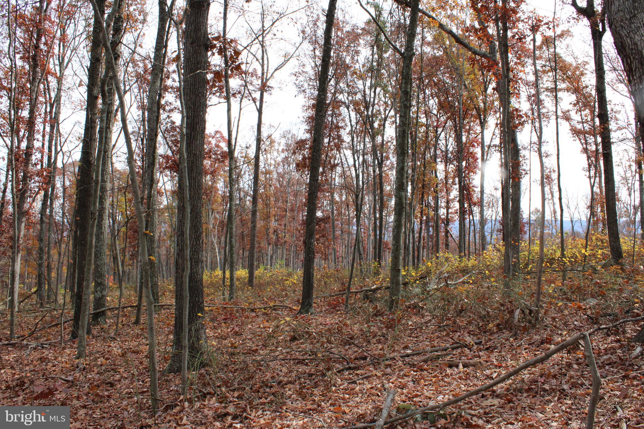 NONE AVAILABLE - Land