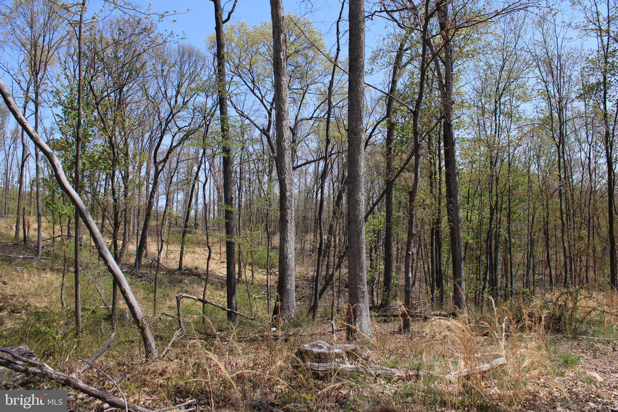 NONE AVAILABLE - Land