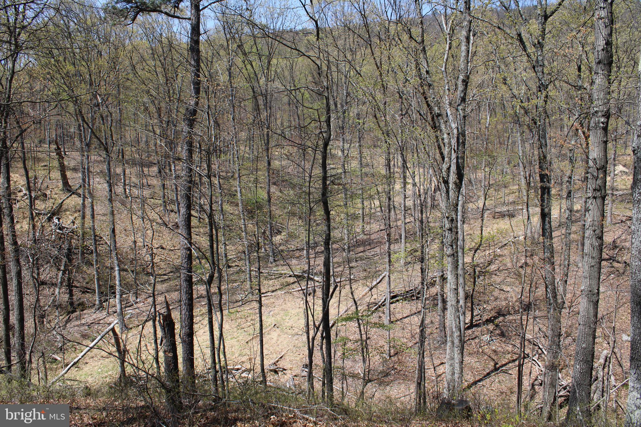 NONE AVAILABLE - Land