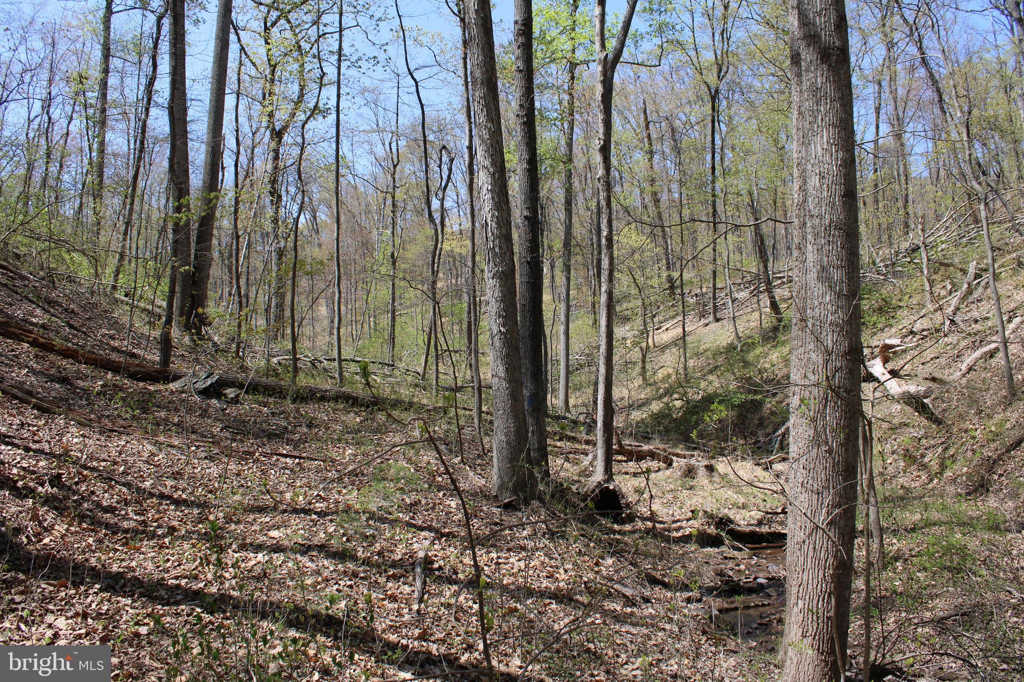 NONE AVAILABLE - Land