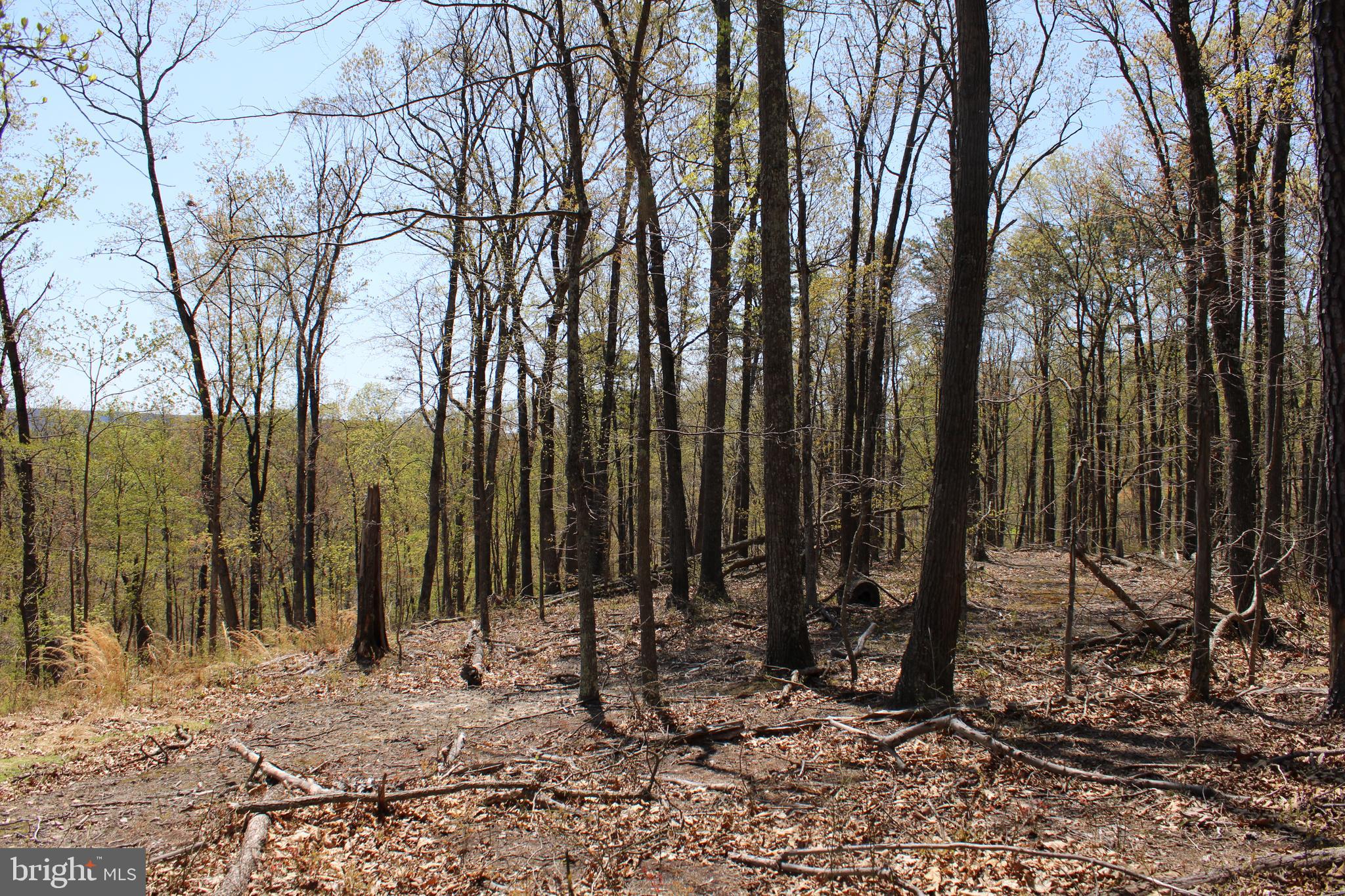 NONE AVAILABLE - Land