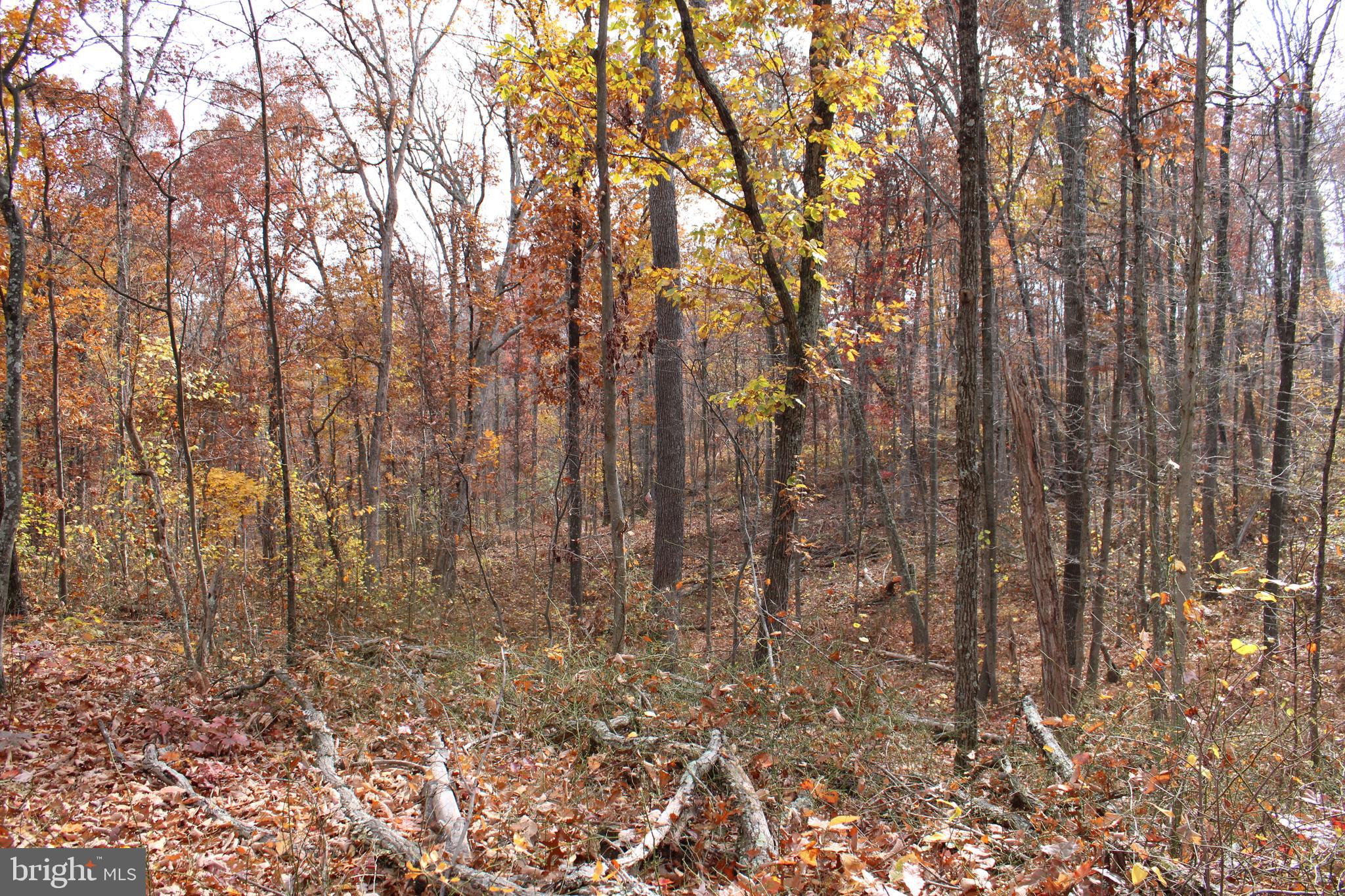 NONE AVAILABLE - Land