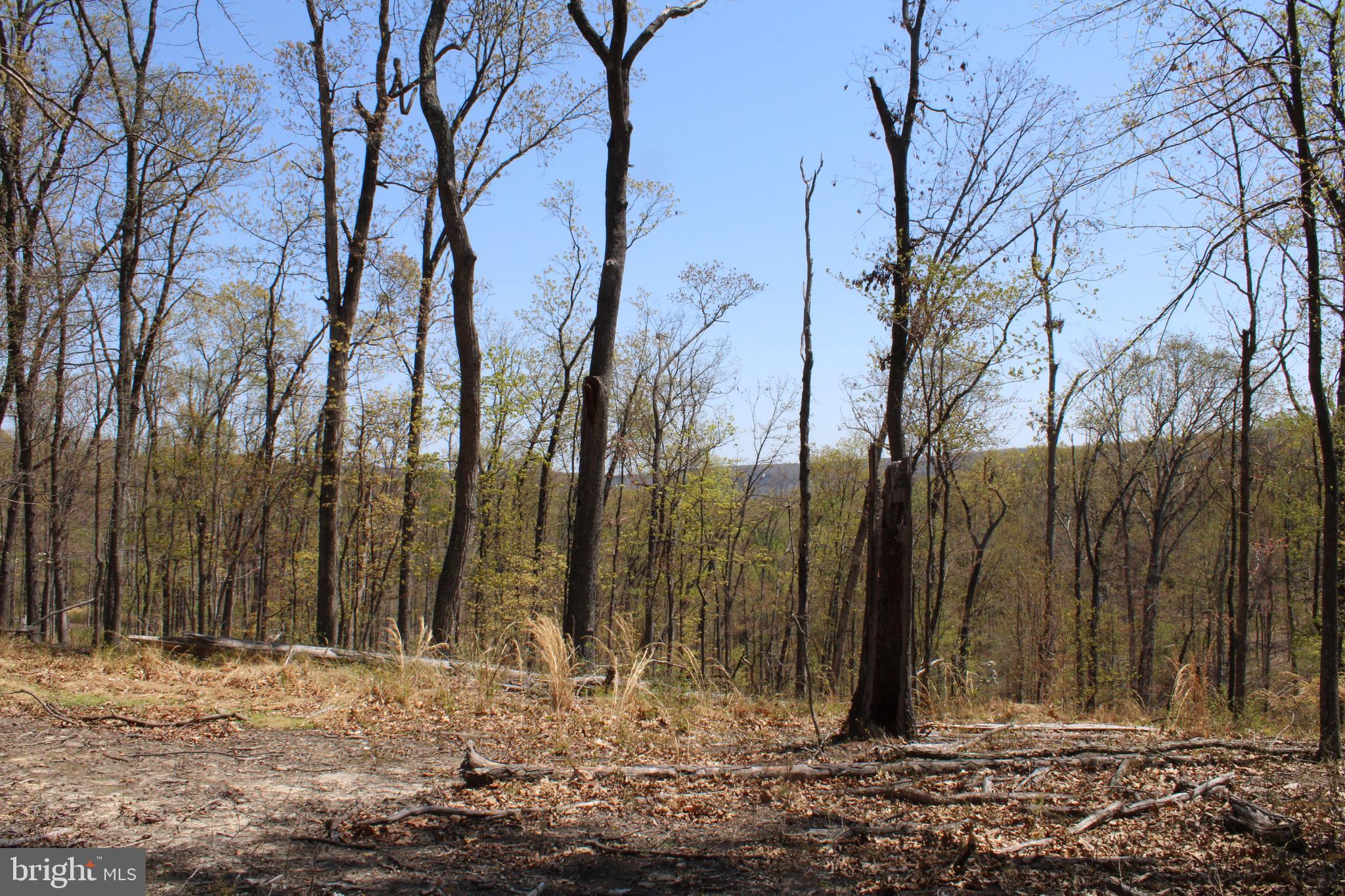 NONE AVAILABLE - Land