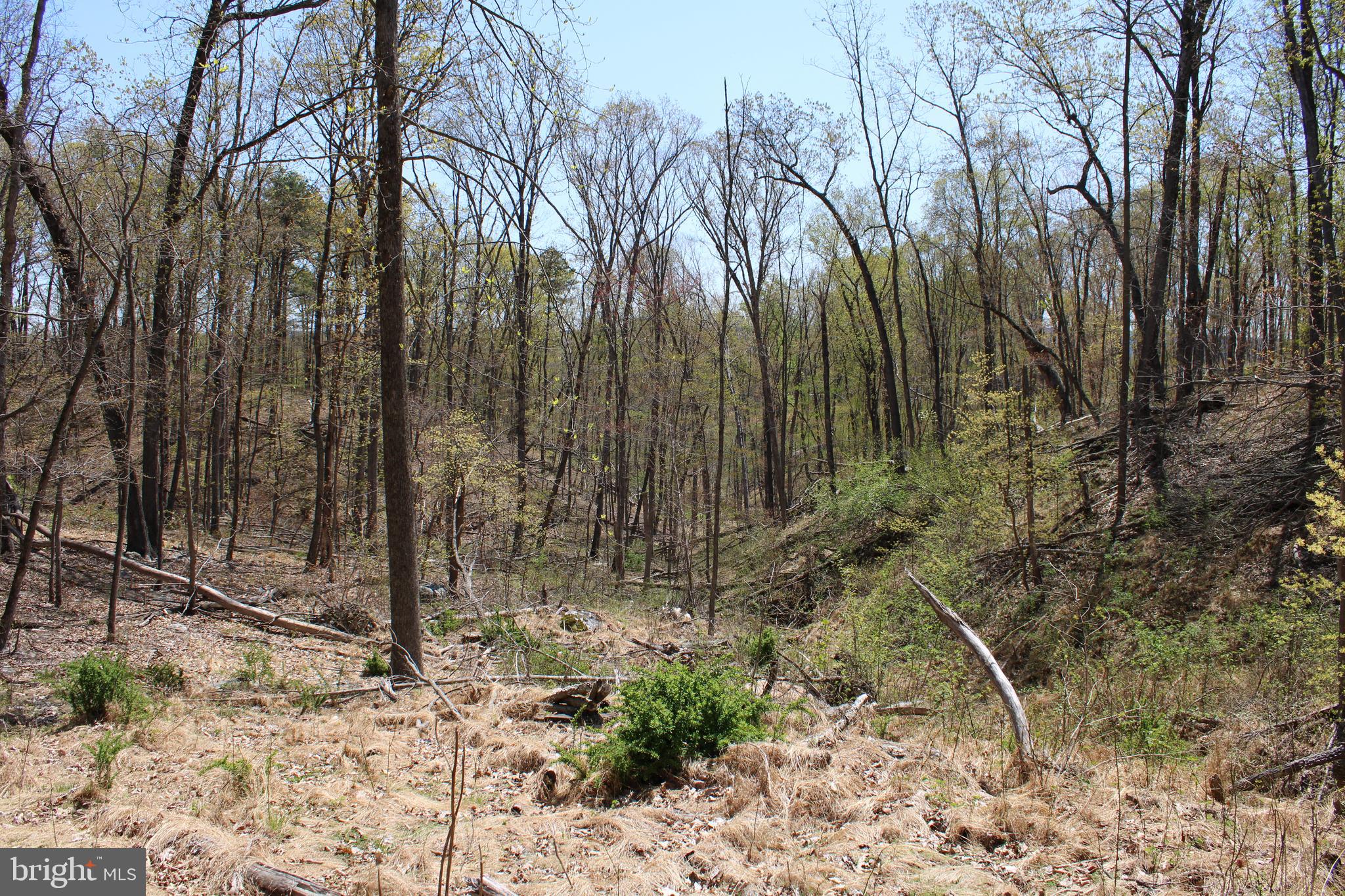 NONE AVAILABLE - Land