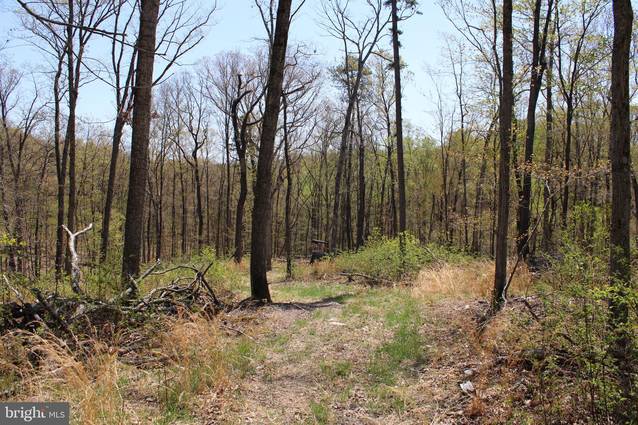 NONE AVAILABLE - Land