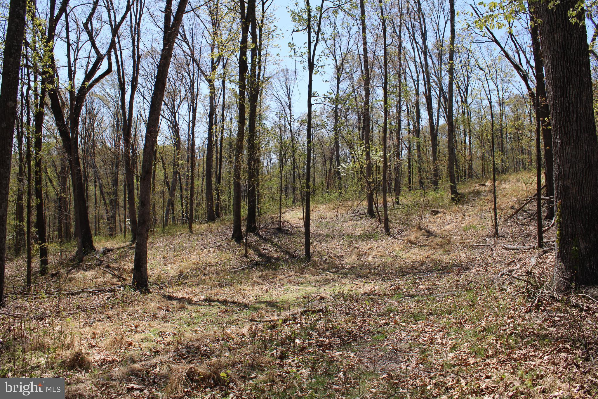 NONE AVAILABLE - Land