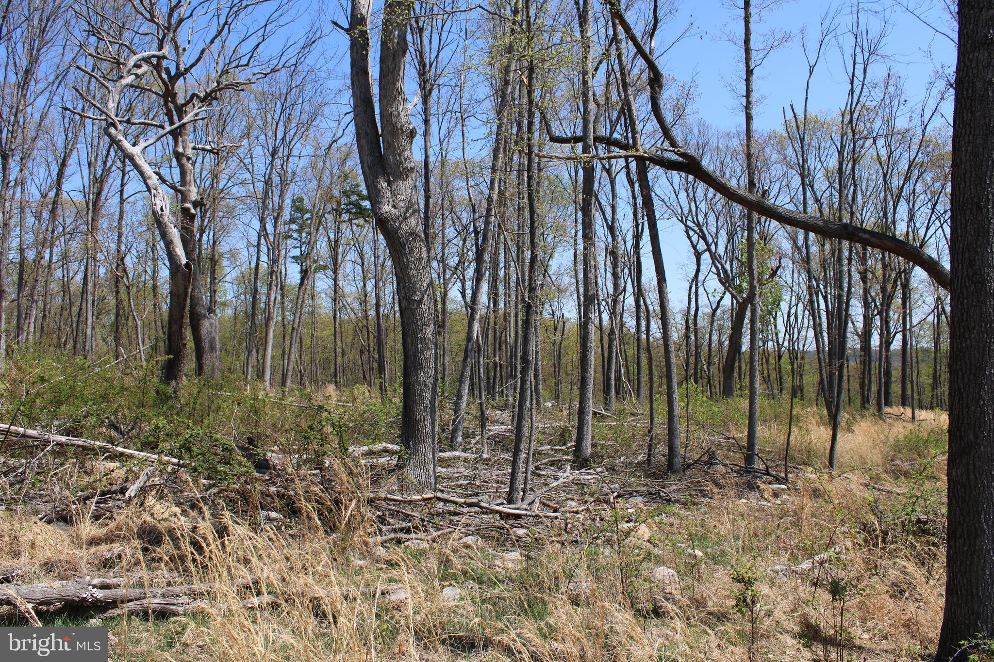 NONE AVAILABLE - Land