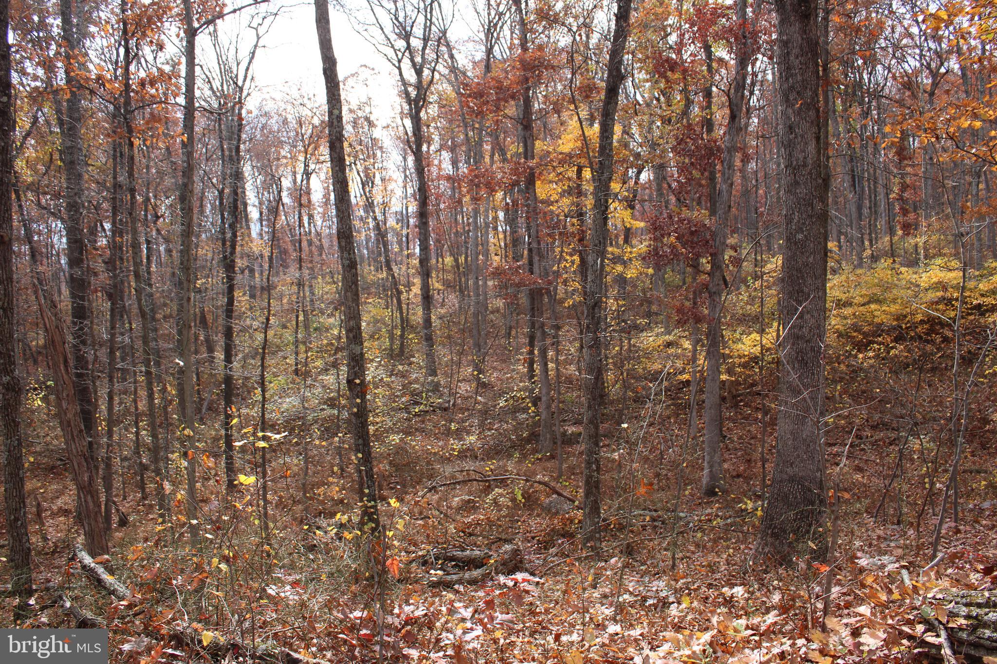 NONE AVAILABLE - Land