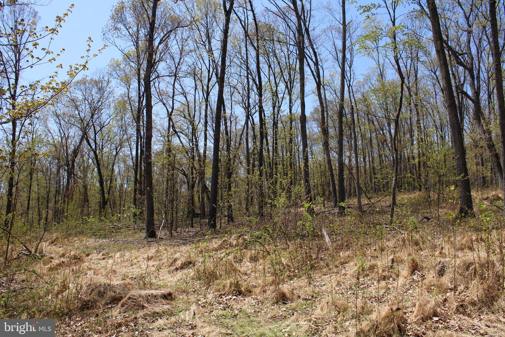 NONE AVAILABLE - Land