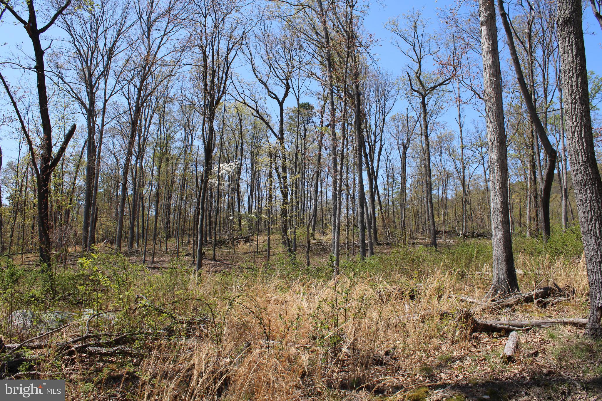 NONE AVAILABLE - Land