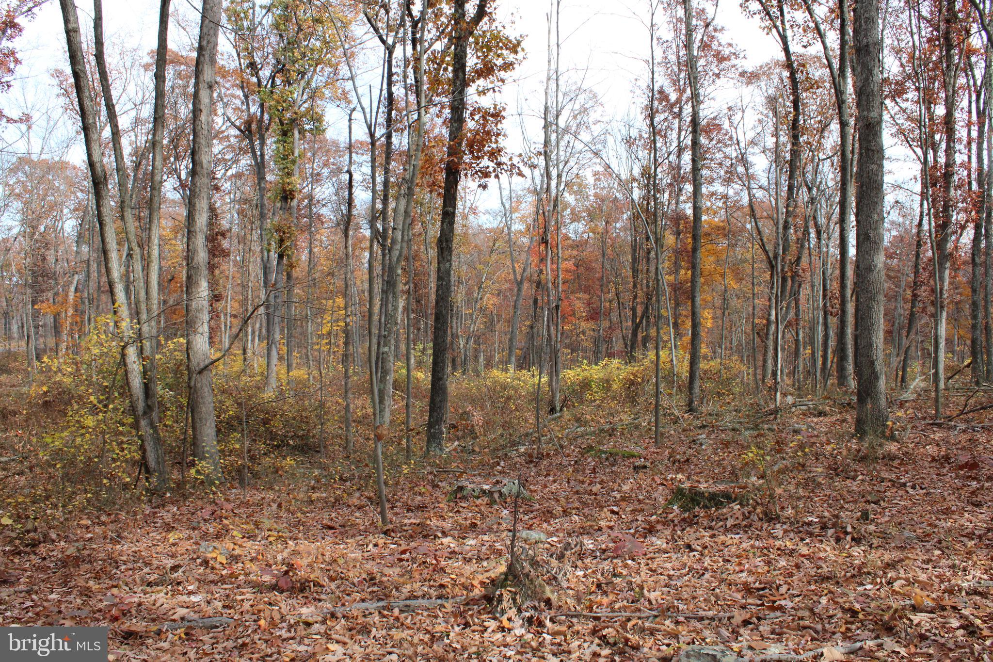 NONE AVAILABLE - Land