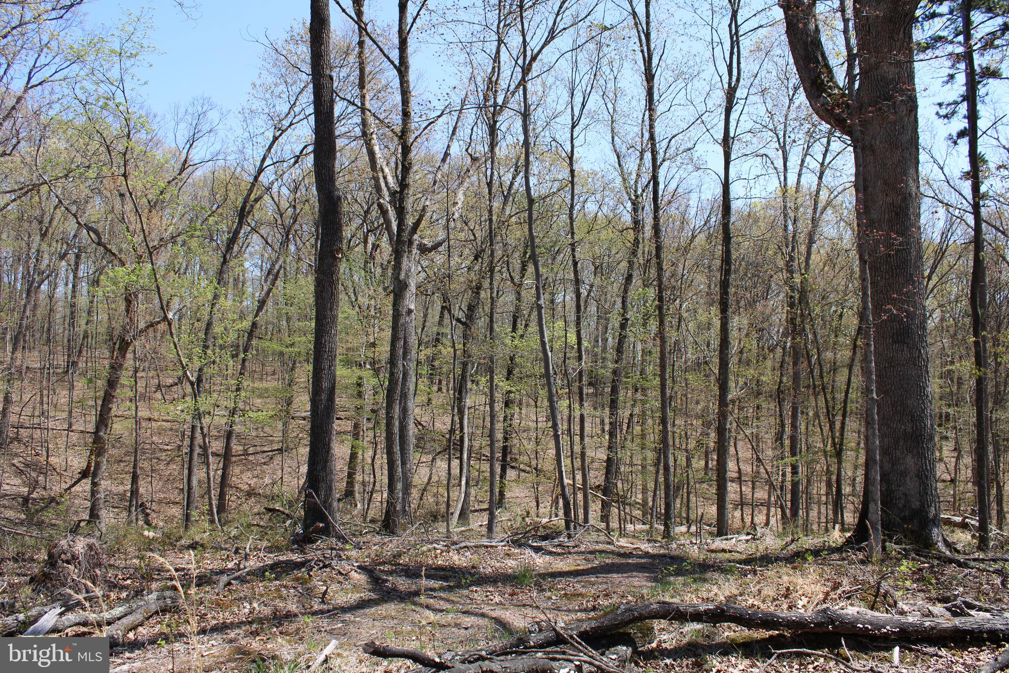 NONE AVAILABLE - Land