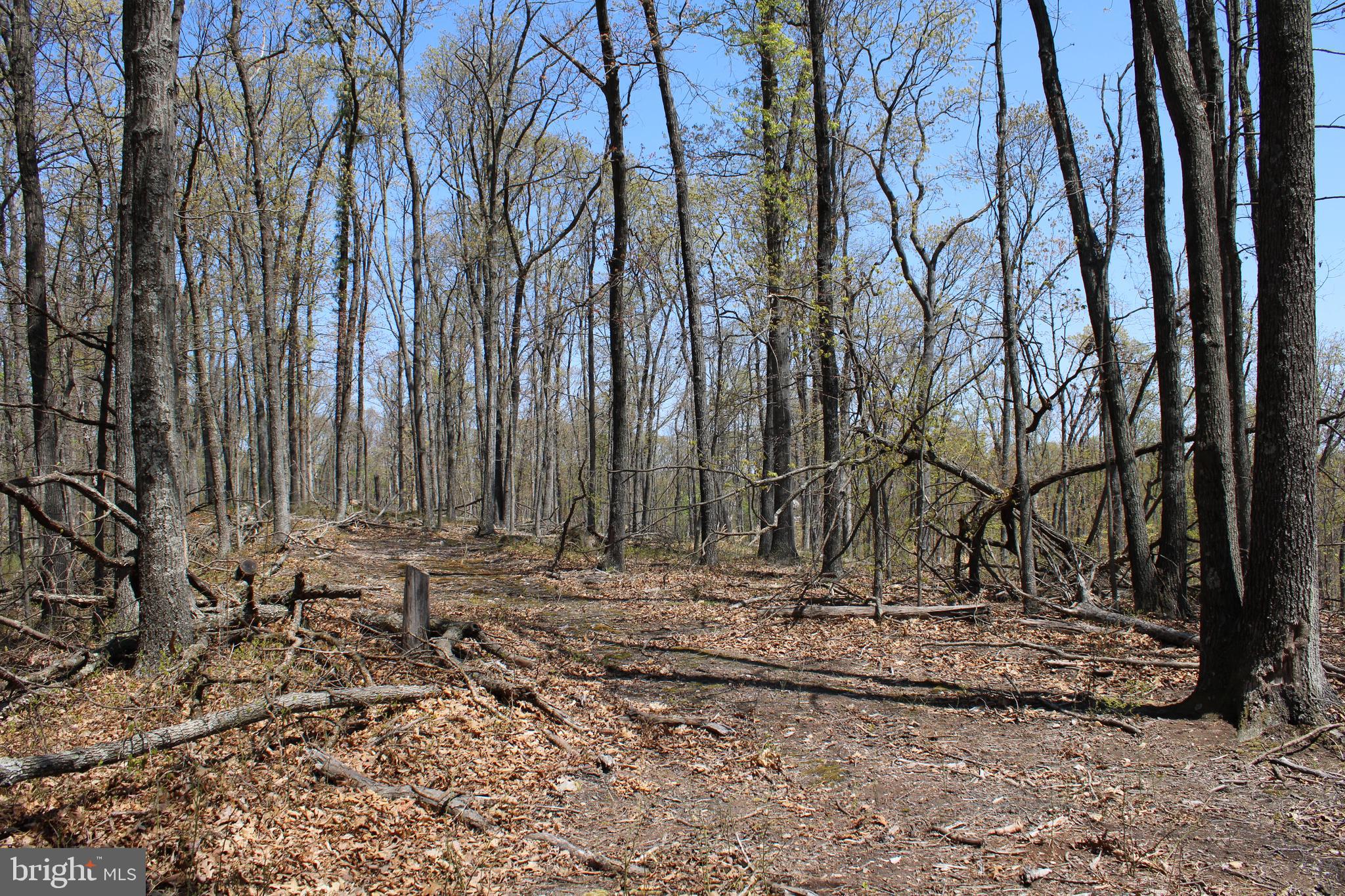 NONE AVAILABLE - Land