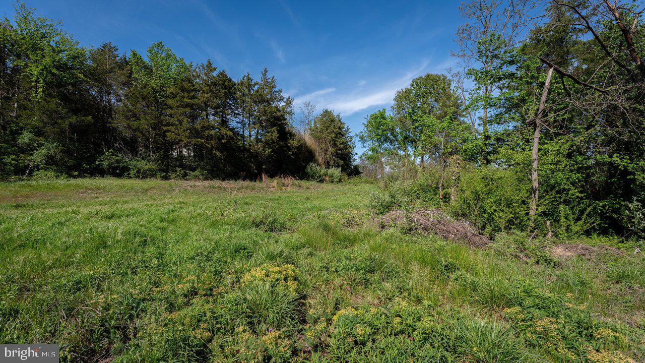 LAND OF LURAY - Land