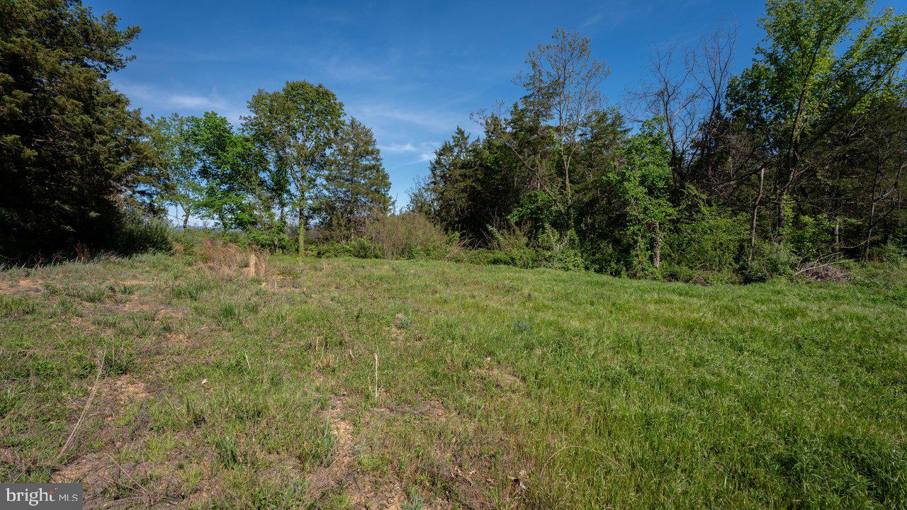 LAND OF LURAY - Land