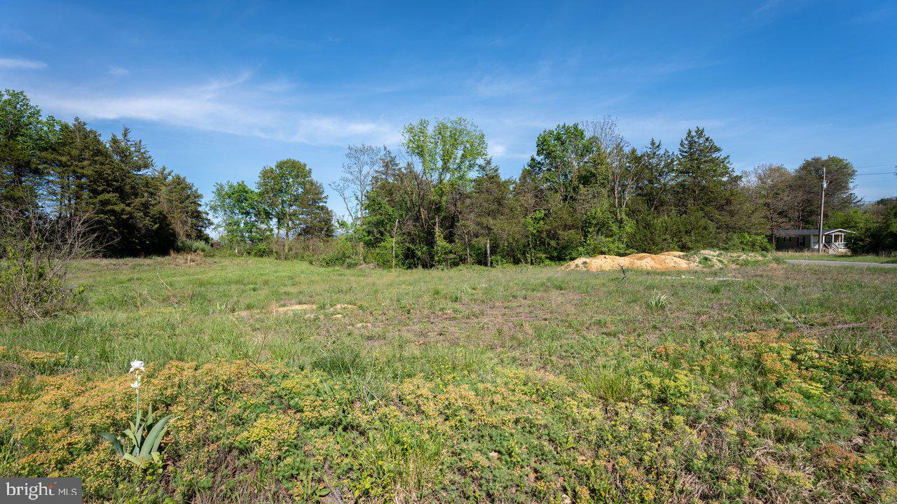 LAND OF LURAY - Land