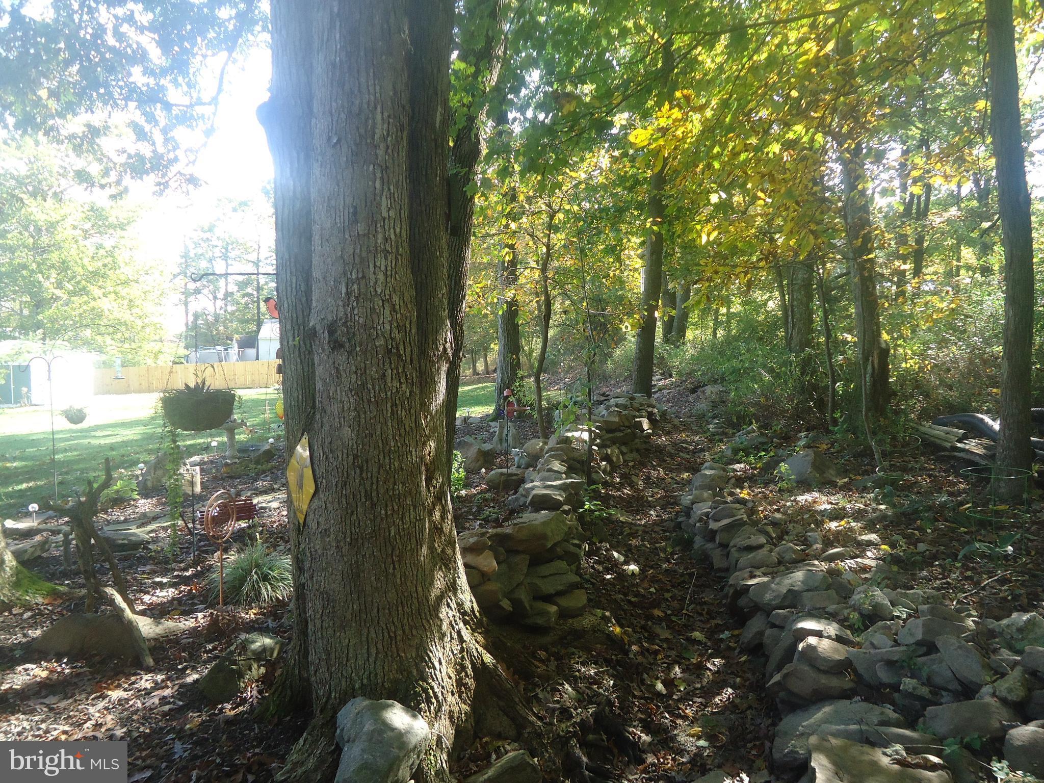 BLUE RIDGE SUMMIT - Residential