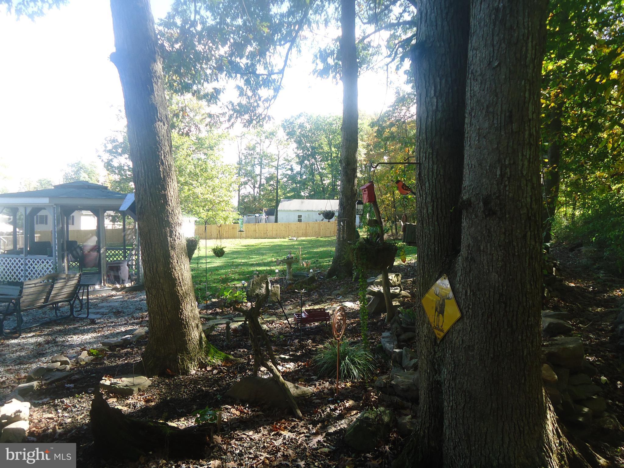 BLUE RIDGE SUMMIT - Residential